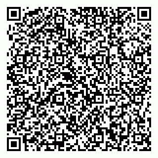 vCard 79376240298