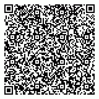 vCard 79376240398