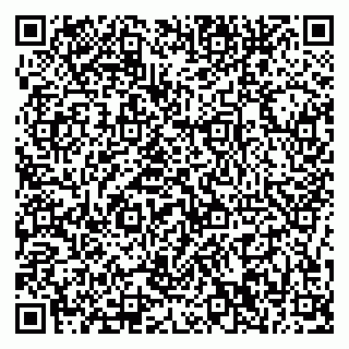vCard 79376240417