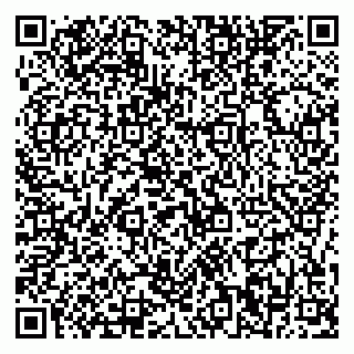 vCard 79376240489