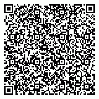 vCard 79376240499
