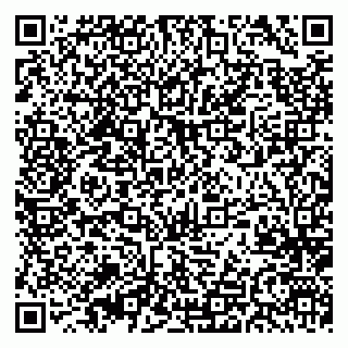 vCard 79376240521