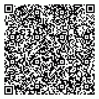 vCard 79376240581