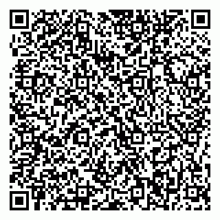 vCard 79376246009