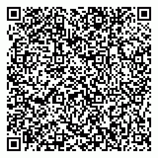 vCard 79376246033