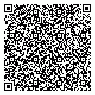 vCard 79376246131