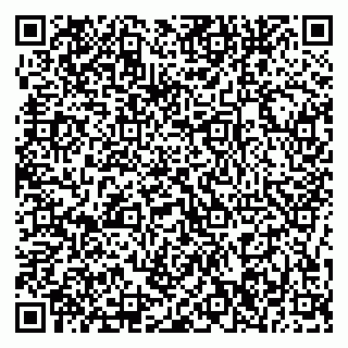 vCard 79376246133