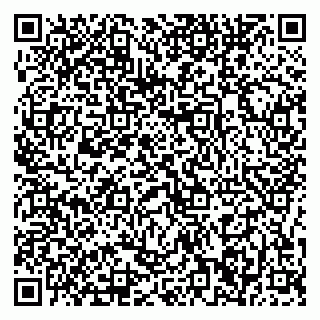 vCard 79376246208