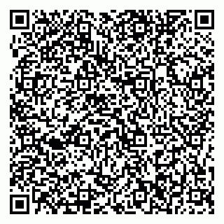 vCard 79376246381