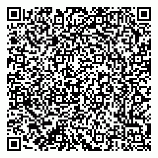 vCard 79376300013