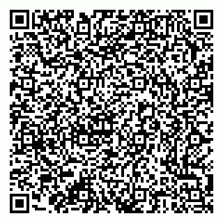 vCard 79376300021