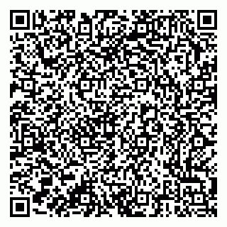 vCard 79376300033
