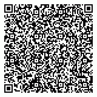 vCard 79376300039