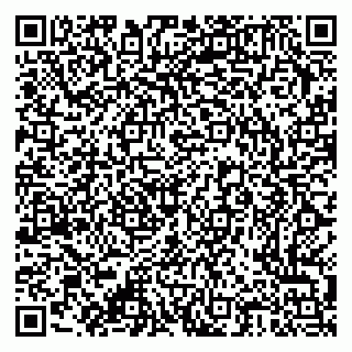 vCard 79376300041