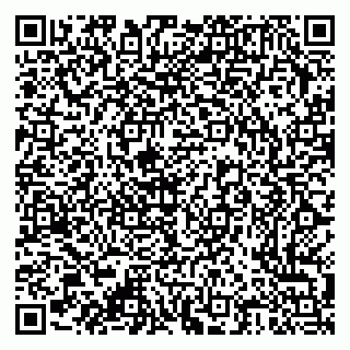 vCard 79376300065