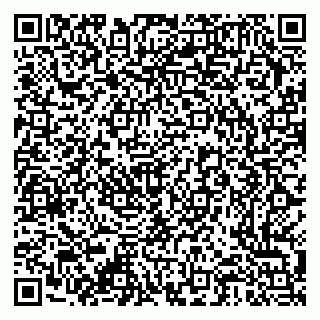 vCard 79376300080