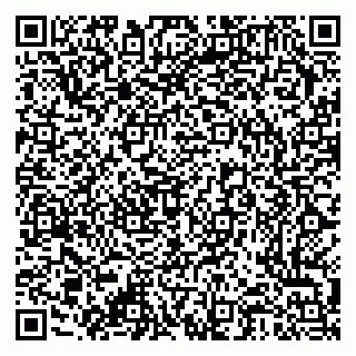 vCard 79376300089