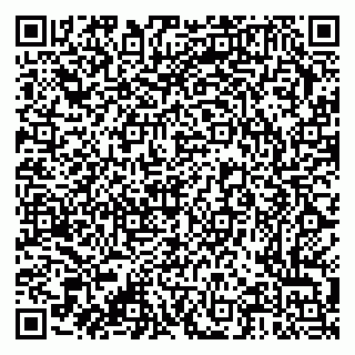 vCard 79376300093
