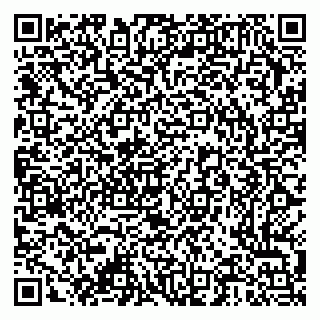vCard 79376300099