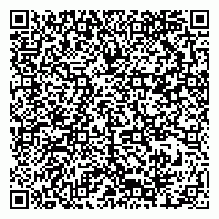 vCard 79376300131