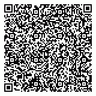 vCard 79376300132
