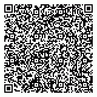 vCard 79376300138