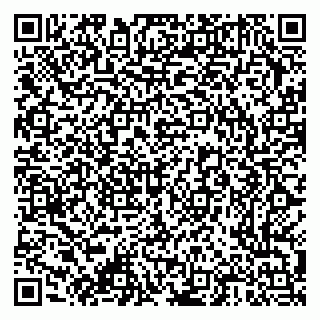 vCard 79376300151