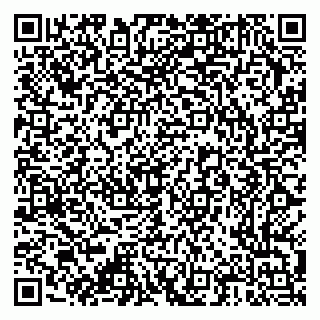 vCard 79376300153