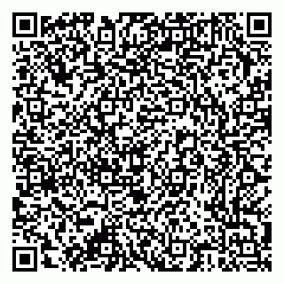 vCard 79376300163