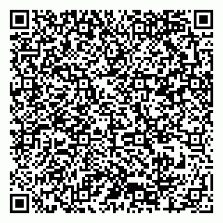 vCard 79376300178