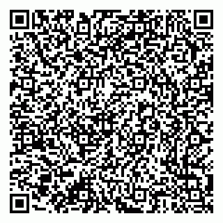 vCard 79376300205