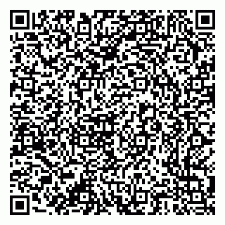 vCard 79376300207
