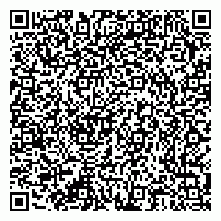 vCard 79376300209