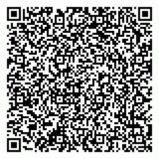 vCard 79376300211