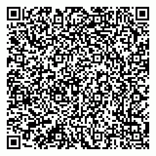 vCard 79376300217