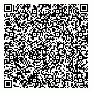 vCard 79376300233