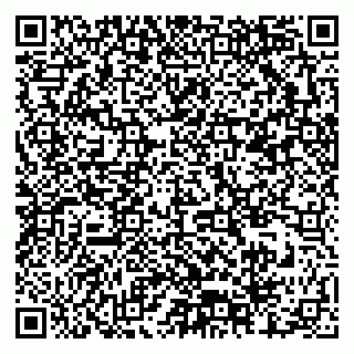 vCard 79376300239