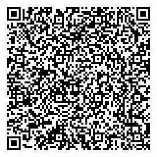 vCard 79376300241