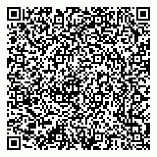 vCard 79376300248