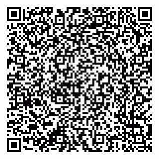 vCard 79376300267