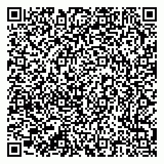 vCard 79376300271