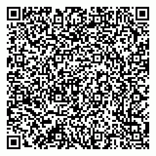 vCard 79376300274