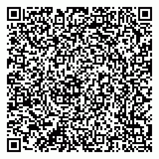 vCard 79376300276