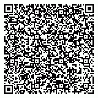 vCard 79376300280