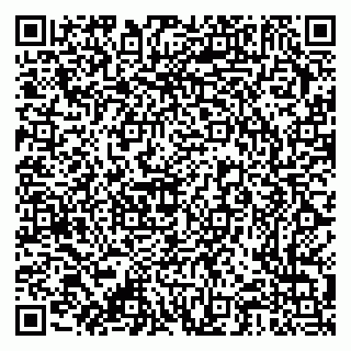 vCard 79376300287