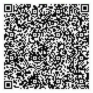 vCard 79376300291