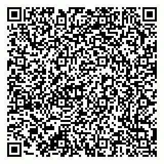 vCard 79376300294