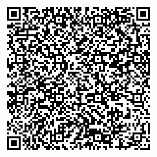 vCard 79376300295