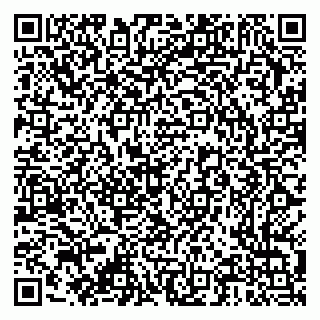 vCard 79376300297