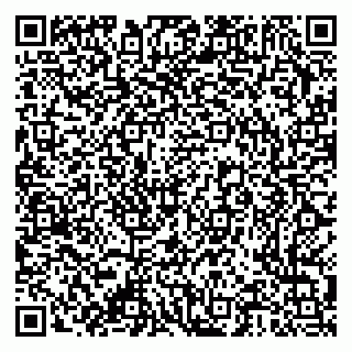 vCard 79376300299